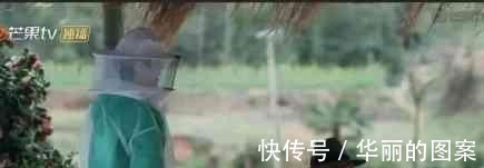 《向往的生活》为何从来不做午餐嘉宾饿着肚子!黄磊说出实情!