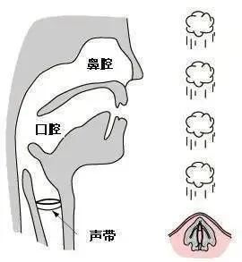 听到自己|微信语音里自己的声音为什么那么难听？