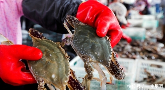 买到|买螃蟹时,学会从2个方面入手来挑选,包你买到的个个膏腴肥美