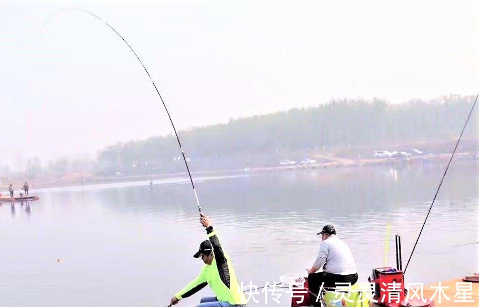 钓什么鱼用什么饵，这几种鱼饵，是垂钓常见鱼类的经典饵料