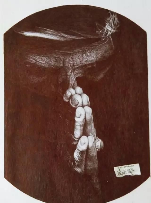 好好学习|这个高一男孩不好好学习,却用圆珠笔画出了纸上奇迹,专家都不敢相信