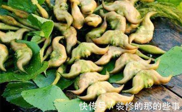 菱角|50岁之后，尽量少吃4种食物，可能含有寄生虫，对健康不利