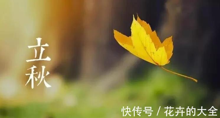天氣|8月7號立秋，2021年立秋有哪些特點呢？農諺俗語告訴你