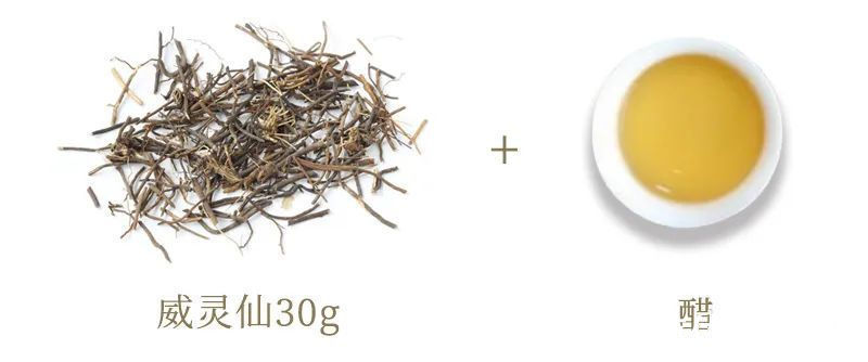 中药学|一种农村路边常见的特效药!上化鱼鲠,中化结石,下消骨刺!