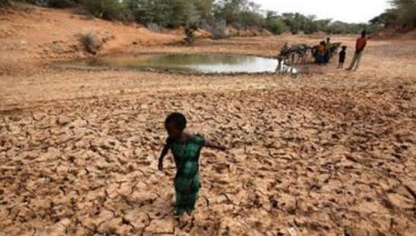 国家|我国最烂大街的食物,非洲人吃不起,印度人不够吃