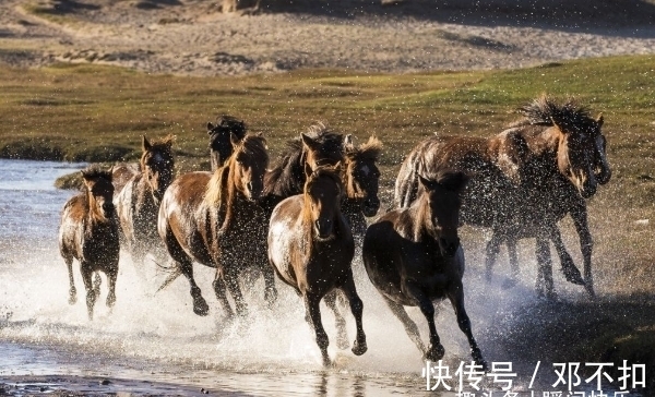 生肖狗|9月11-9月22日，吉星高照，大运皆开，跳出困境，成功在即的生肖