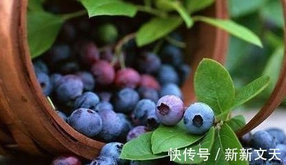 妈妈|孕妈多吃这两种水果,宝宝眼睛大又亮,智力发育也更优秀