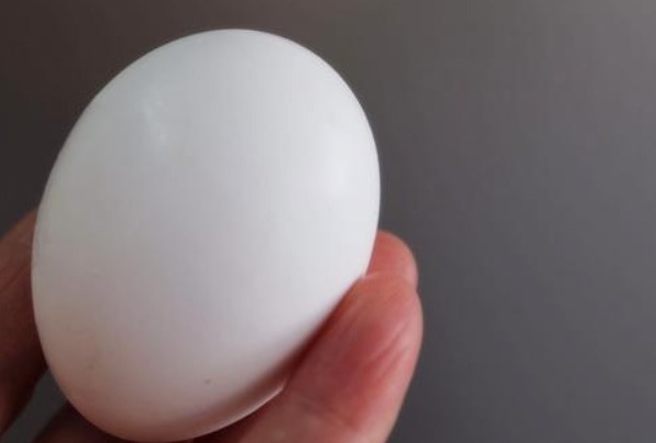 你买鸡蛋挑大的还是挑小的养殖户不小心说漏嘴，看完别再买错了