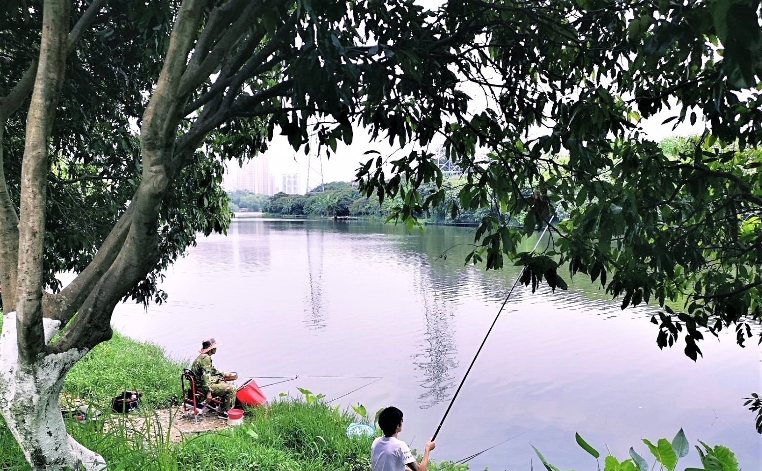 窝点|夏季野钓，突然无鱼口，不是钓技不好，原来是这几种因素