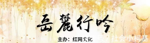 白鹭林#小说丨白鹭林《为了爱情》:艰难开始的新生活