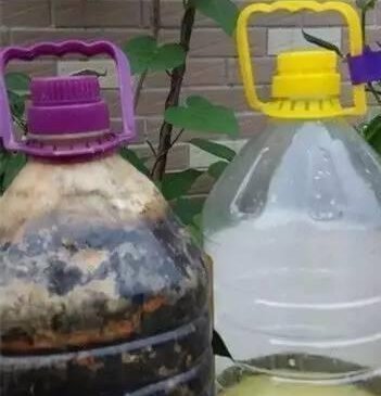 溶液|家中养花,这5毛钱的小东西别乱丢,能让花蹿到2米高,你知道了吗