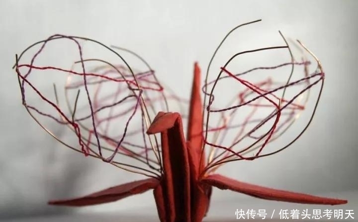 重样|每天折一只千纸鹤,他坚持了1000天不重样,女友被感动到梨花带雨