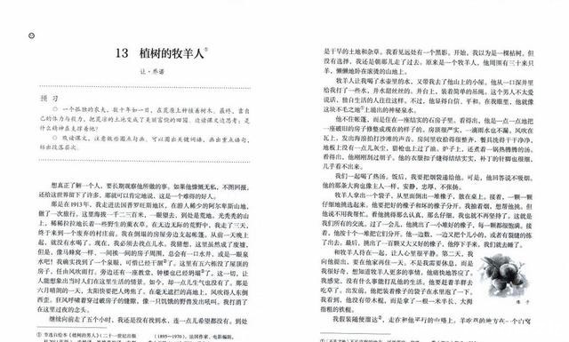 房好吃惊|23年种5700棵树 这个老人把荒山建成了森林公园