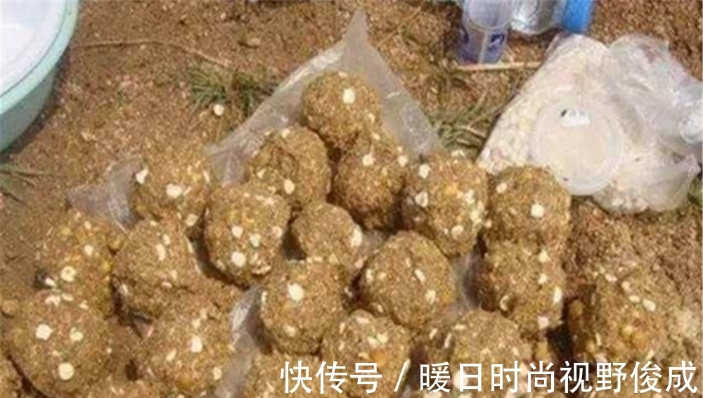 大鱼|盛夏夜钓聚鱼技巧,窝料粗细怎么占比?是否打重窝?跟白天不一样