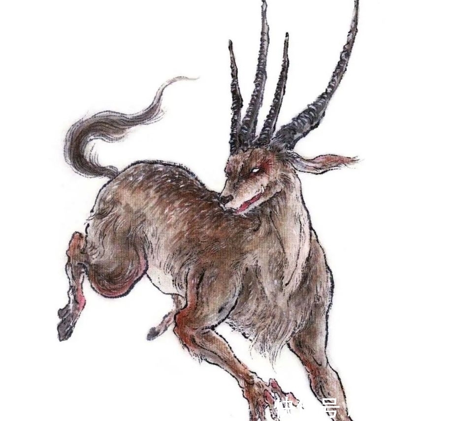 四角羊#四角羊,《山海经》中的四角异兽,现实中却真的存在,而且还不少