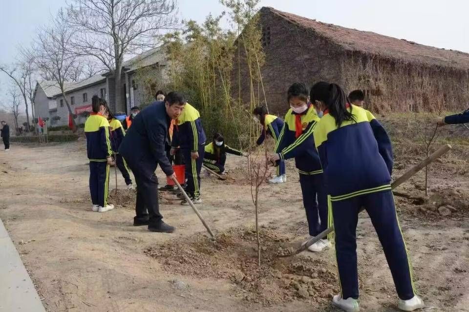 “植”此青绿添新颜！潍坊青州市开启全民植树模式