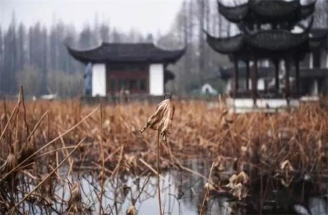 折杨柳$唐诗中最经典的7首边塞绝句,唱不尽热血男儿志