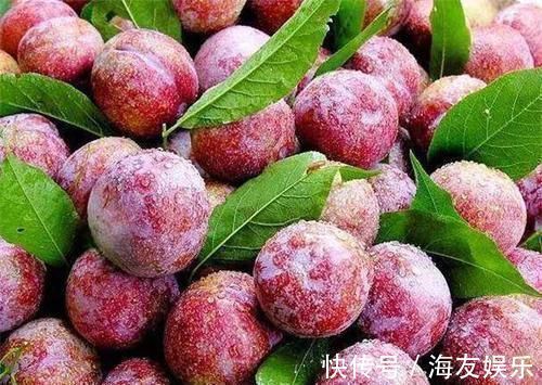 红梨|人到中年想长寿,可以多吃3种食物,改善体质,有益健康