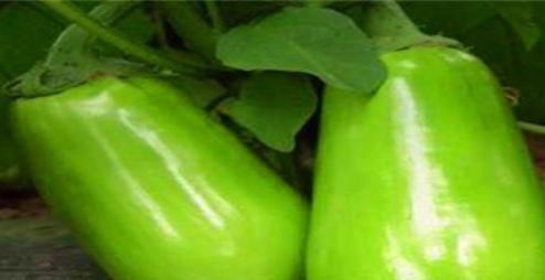 适合|女性适合吃的食物,健胃消食,排毒瘦身,清理毒素