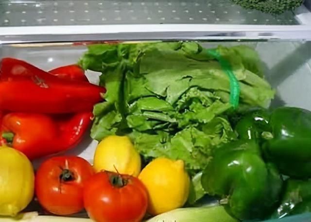 江一舟|冰箱里的7个刻度,你真的会调吗?多数人都做错了,教你正确做法