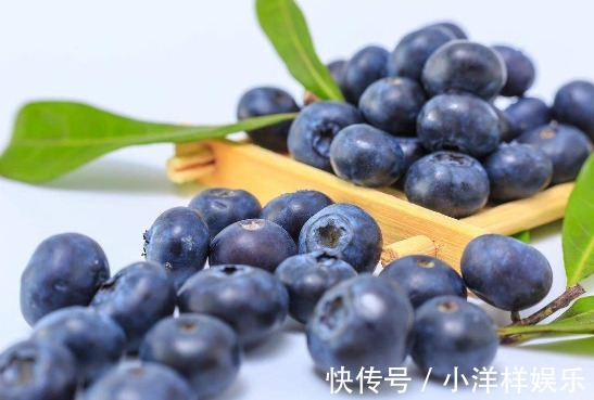 蓝莓|此果子对身体很好，能强化视力，美白肌肤，延缓衰老，老少皆宜