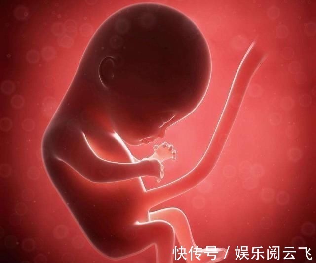 营养物质|怀孕多吃鱼娃更聪明?三种鱼不建议孕妈吃,否则坑的是肚子里的娃