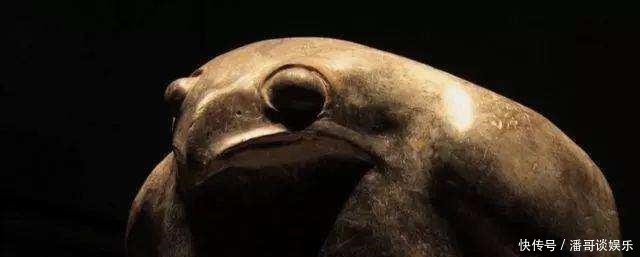 这一下|不够走运的鹰,这一下就“思考”了5000年!