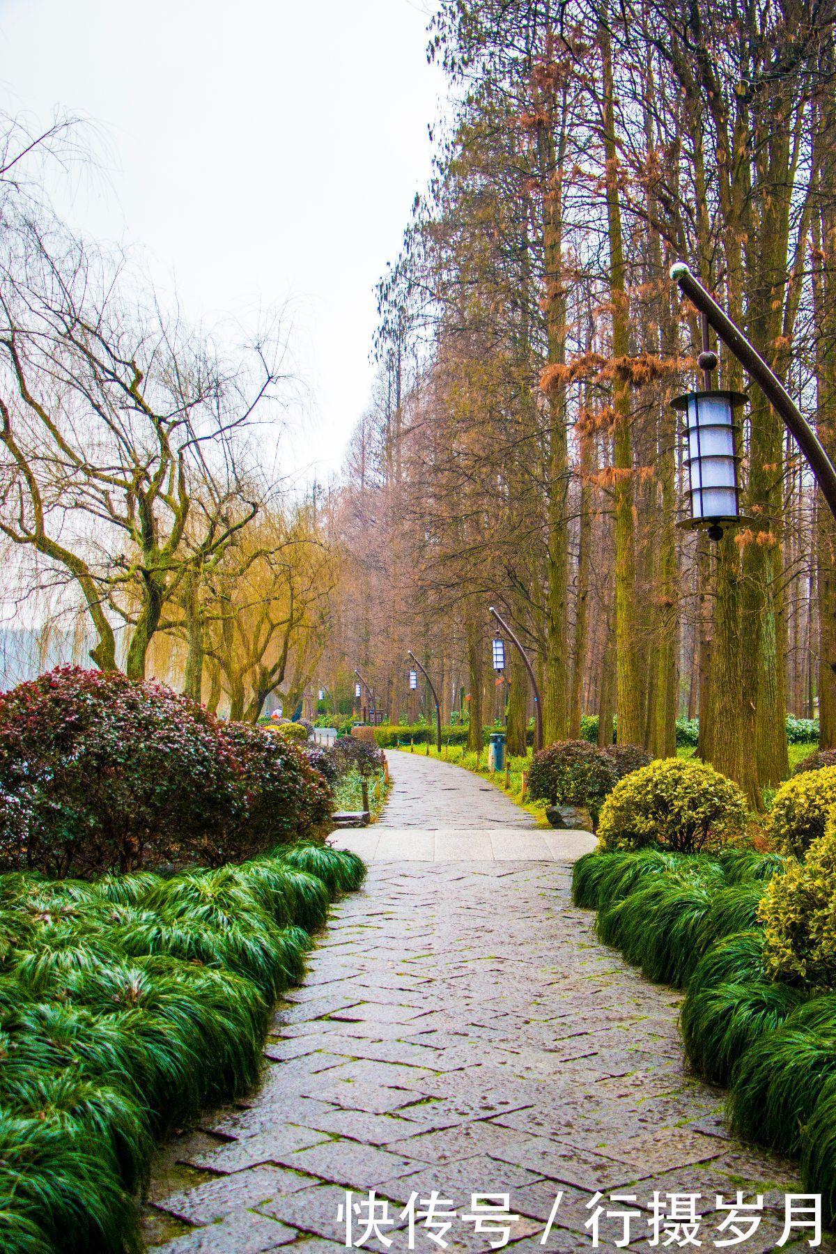 嗅出|冬至将至,谁已嗅出春天的味道