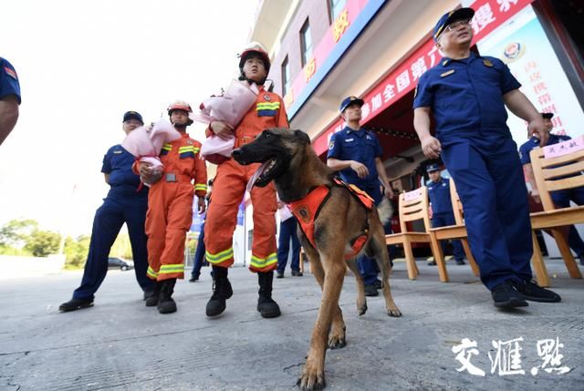 精兵强 犬 载誉而归 全网搜