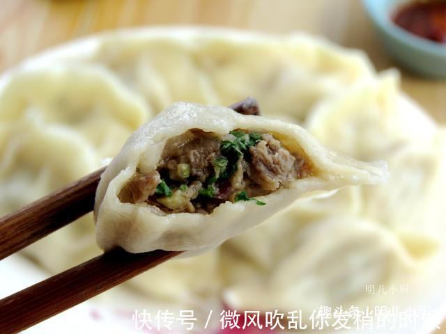 这菜5毛钱一斤,包饺子真好吃,个个肚大不走水,咬一口满嘴鲜汤