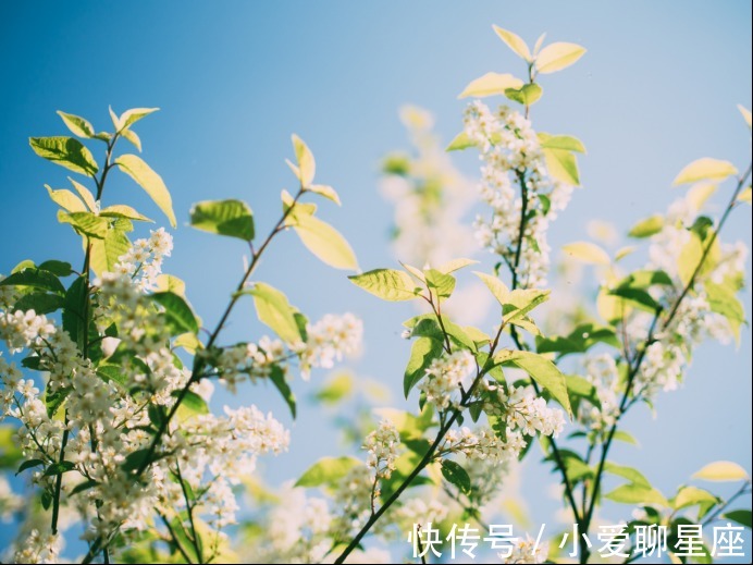 射手座|未来一周,运势稳步提升,事业气势如虹,人生志得意满的3星座