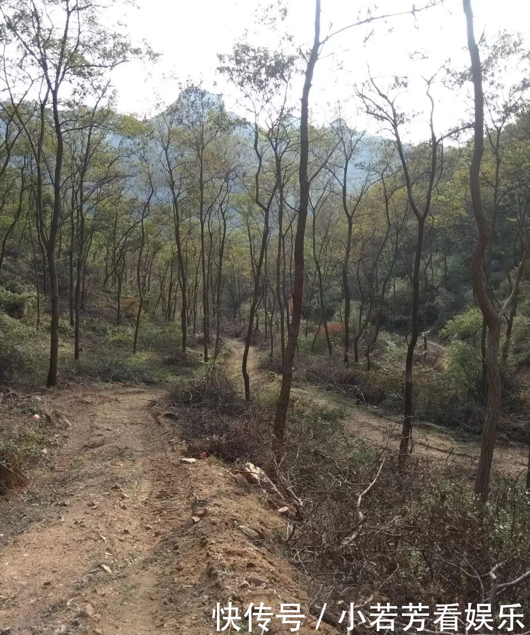 临朐这 个地方山清水秀，却不是一个村庄，而是……