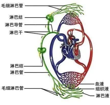 小伙|27岁浙江小伙每天产“奶”2斤，竟是这里漏了？！