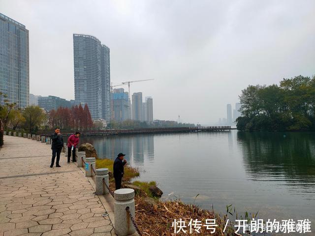 梅溪湖@《五绝·冬日游梅溪湖》逍遥碧水边,湖清树自闲