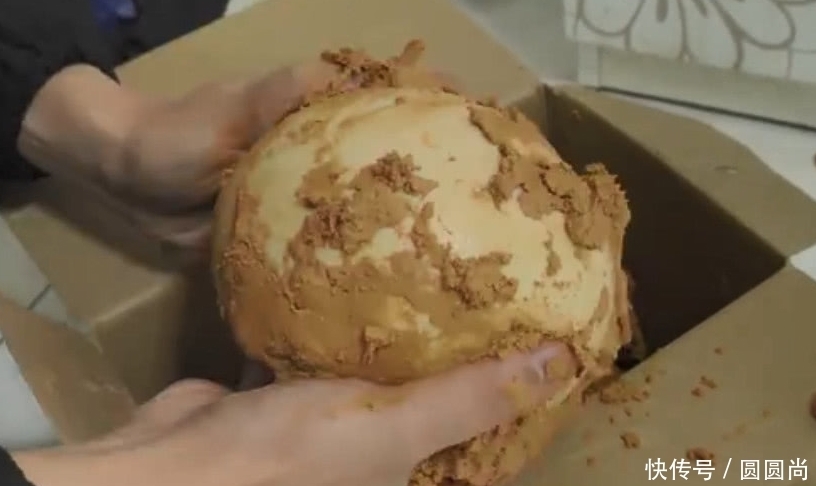 把鸵鸟蛋放一年做成皮蛋,看到里面的样子,还敢吃的是大神