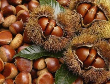 维生素c|把板栗放进微波炉里热一热,竟有如此神奇的用途,值得分享给家人