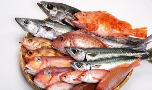 日本人的饮食，凭什么这么精致？
