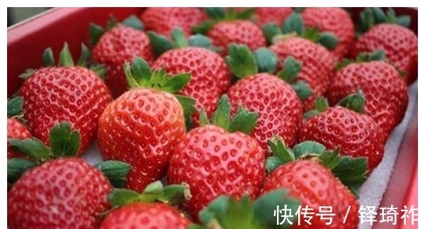 反季节|不建议给孩子吃草莓?这几个理由或要引起重视,家长们别不当回事
