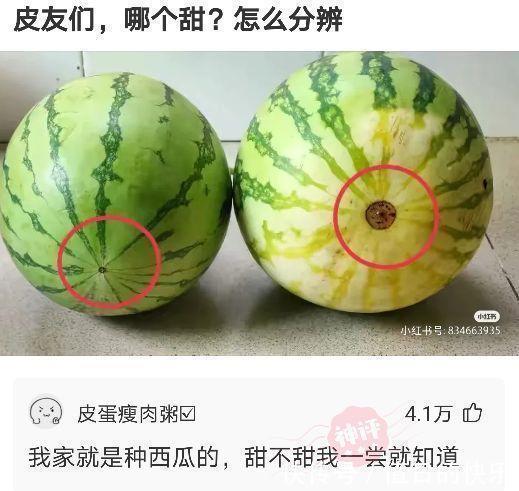 |搞笑神评!新闻联播的背景为啥放那么多电视