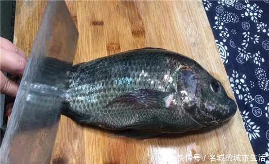 干净|才发现刮鱼鳞这么简单,只需一个塑料袋,快速又干净,一秒光溜溜