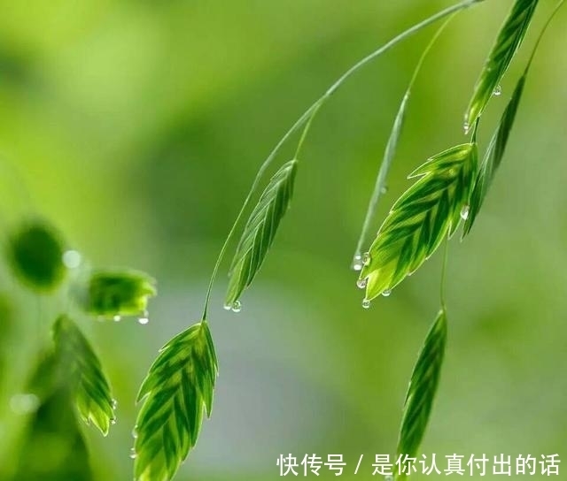 |冬至了,一切安好