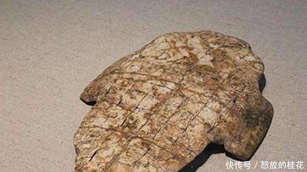 究竟|中蒙两国联合科考断崖石刻,中方专家刚到就流下眼泪,究竟为啥?