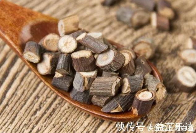 入药|此物辛香温煦,入药可“散一身上下之寒邪,暖三焦脏腑之元阳”