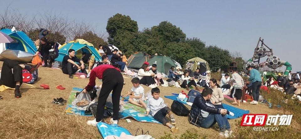 湖南人|壮观！太阳一出来，草地上就“长”满了快发霉的湖南人