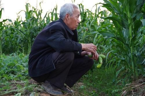 睡眠时间|不论男女,过了60岁以后,若还有这5个表现,可能属于长寿体质