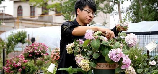  剪枝|这五种花在春天剪枝，剪错了一年不开花，生长也受影响