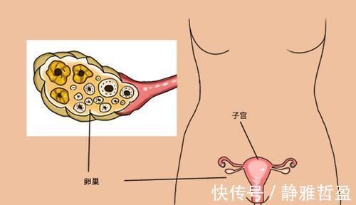 生育|不论男女，多少岁是一生中最佳的生育年龄？医生：别超出大众范围