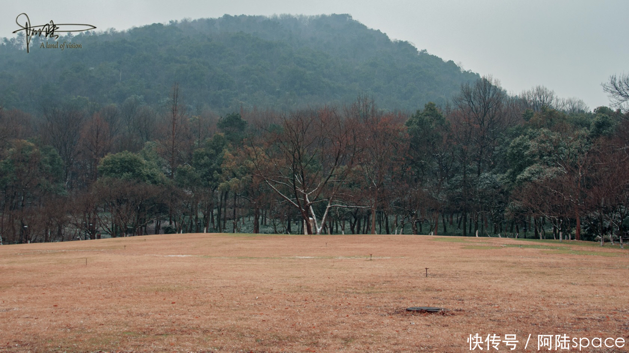 杭州的初雪，总是来得那么突然，使美景更添诗意