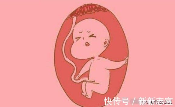 睡眠时间|胎儿在腹中真的一天到晚就是睡吗?孕妈看完笑哭,真闹腾