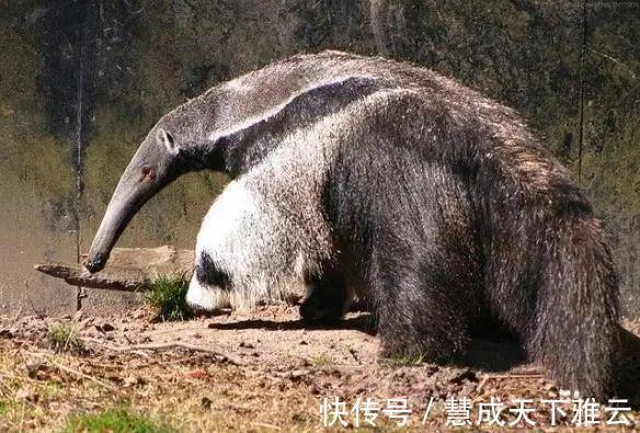 真相&24张欺骗你的眼睛照片,眼见也不一定为实!